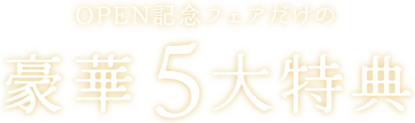 12月限定 豪華5大特典