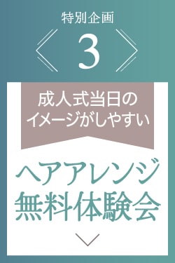 《特別企画3.ヘアアレンジ無料体験会》