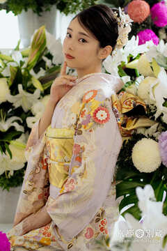 CO-127 佐藤不二子　ピンク　薄紫　藤色　菊　梅　小花　振袖　七宝繋ぎ　成人の日　成人式　二十歳の集い