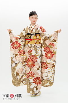 KM-15　大峰ユリホ 　菊　水仙　白　赤　伝統古典　振袖　成人の日　成人式　二十歳の集い　京都別蔵　五条　横浜